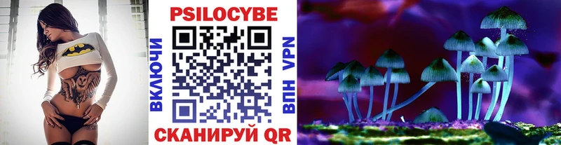 Галлюциногенные грибы Cubensis  сколько стоит  Окуловка 
